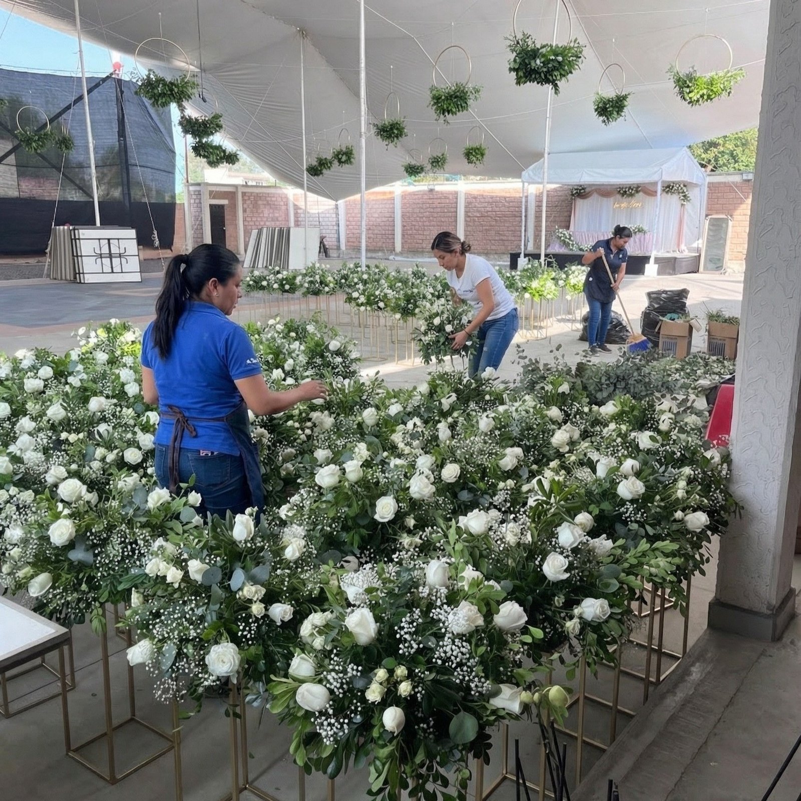 generated image december 19, 2025 1 59pm2