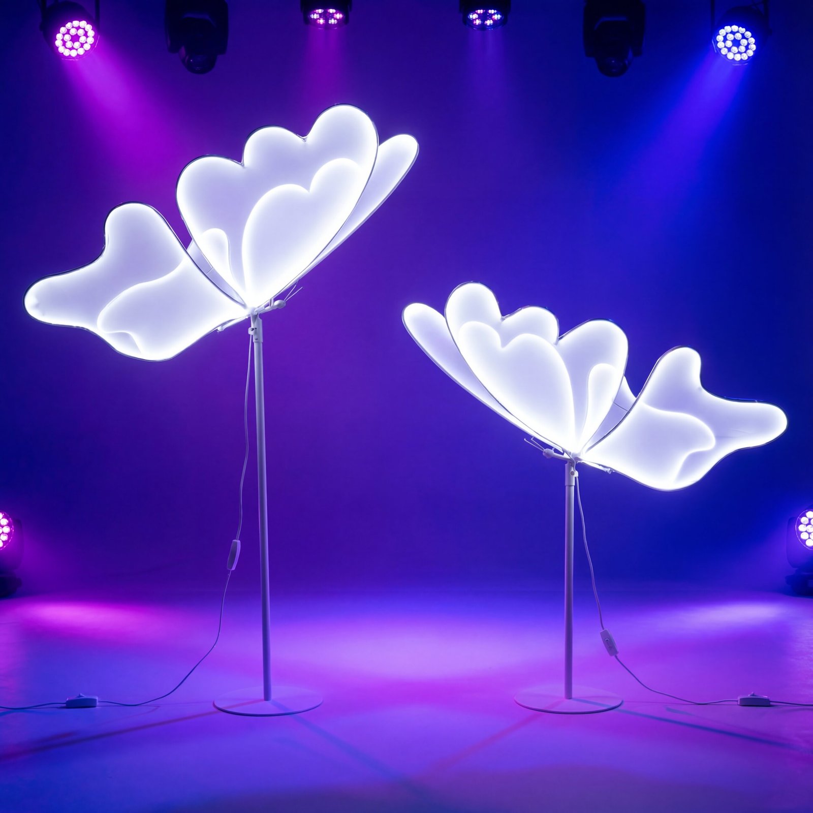 generated image january 03, 2026 2 59pm