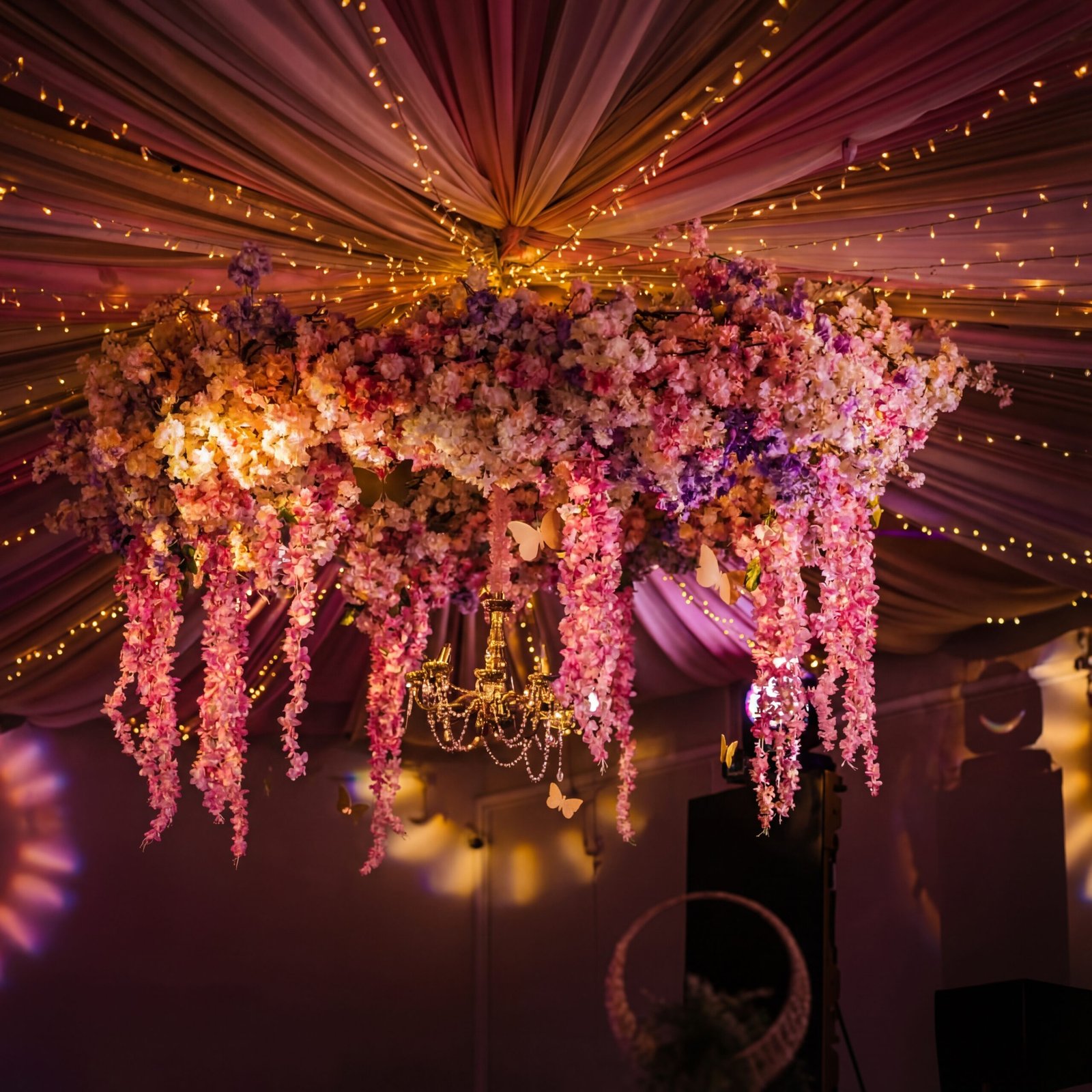 generated image january 04, 2026 2 37pm